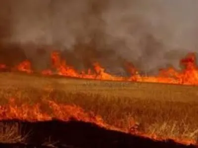 آتش به جان 7.5 هکتار از مزارع گندم شهرستان شازند افتاد