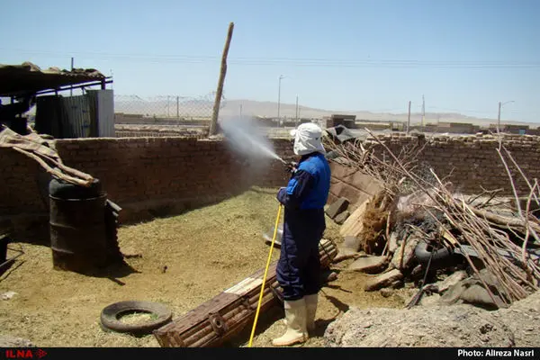 سم پاشی یک خانه در مشهد ۲ کشته بر جای گذاشت!