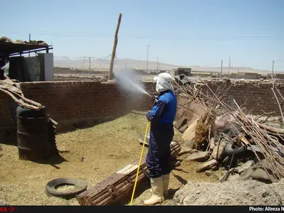 سم پاشی یک خانه در مشهد ۲ کشته بر جای گذاشت!