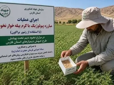 گام تازه فارس برای تولید محصول سالم با مبارزه بیولوژیک در دیمزارها