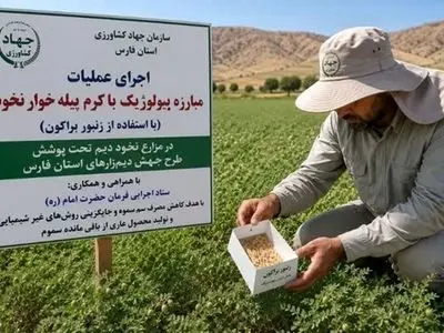 گام تازه فارس برای تولید محصول سالم با مبارزه بیولوژیک در دیمزارها