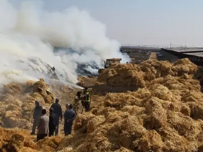 اطفاء آتش‌سوزی گسترده در یک گاوداری خاکعلی