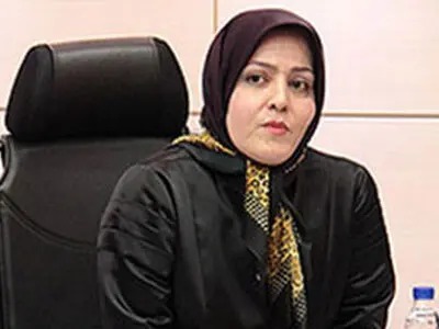 حضور مردم کمرنگ بود / عدم آشنایی مردم با وظایف شورایاری‌ها