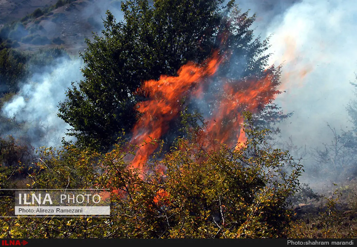 5 هکتار از جنگل‌های رودبار در آتش سوخت