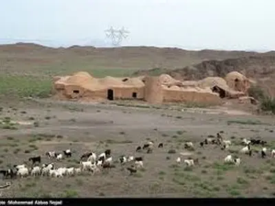 خشکسالی مراتع چهارمحال و بختیاری تهدیدی جدی برای معیشت دامداران است