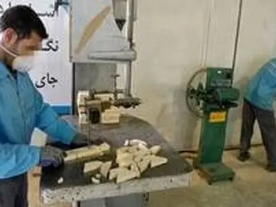 سامانه کارآفرینی گامی نو برای اشتغال زندانیان