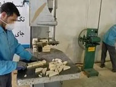 سامانه کارآفرینی گامی نو برای اشتغال زندانیان