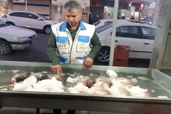 در خصوص مصرف ماهیان حرام گوشت هشدار داده شد