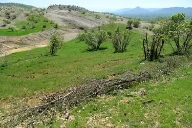 سال گذشته ۳۳۱ فقره پرونده تخریب اراضی ملی در گلستان تشکیل شد