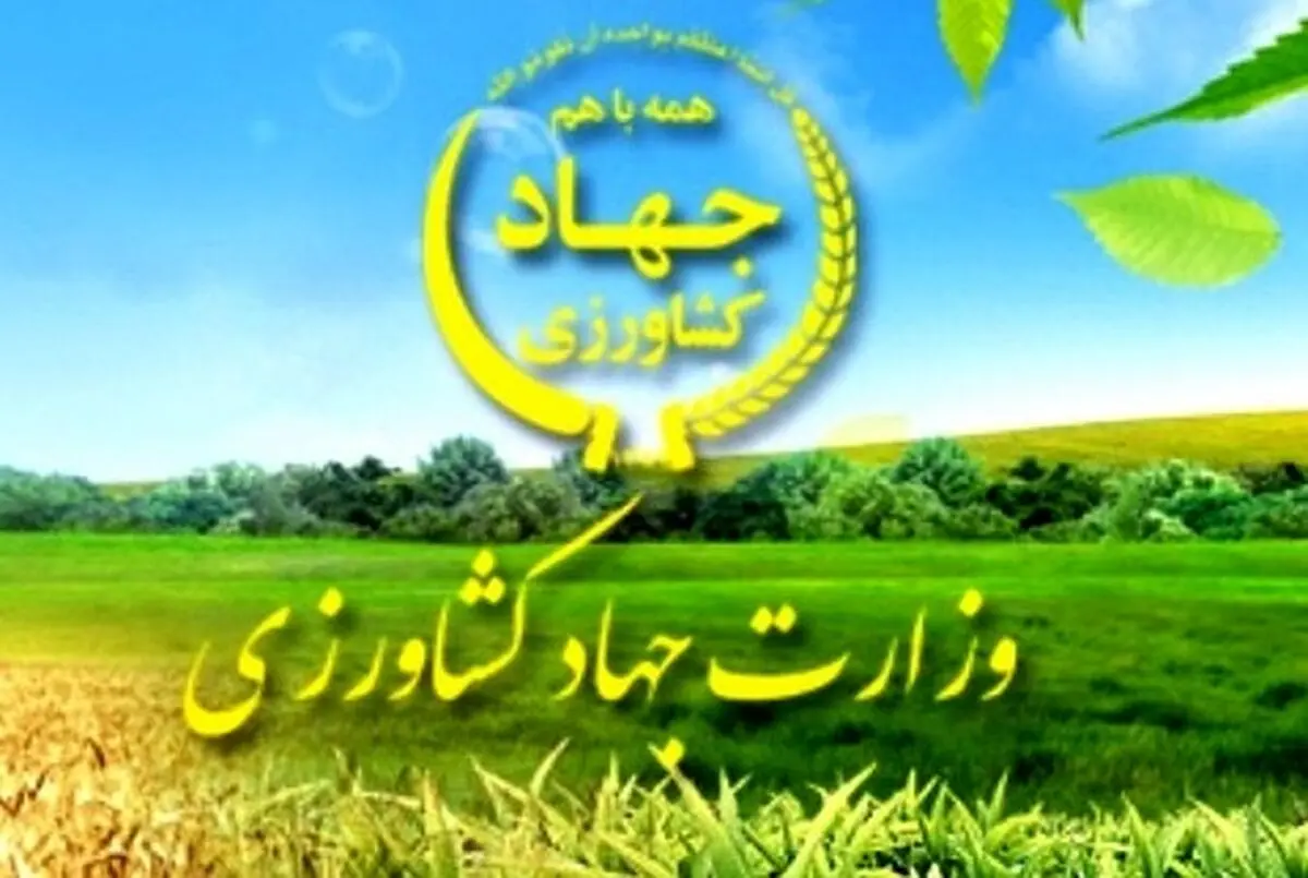  ۵۵۰ هزار نفر از مزایای فصل دهم قانون مدیریت خدمات کشوری محروم هستند/ دولت برای اصلاح حقوق و مزایای کارکنان وزارت جهاد کشاورزی قدمی بردارد 