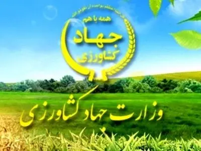  ۵۵۰ هزار نفر از مزایای فصل دهم قانون مدیریت خدمات کشوری محروم هستند/ دولت برای اصلاح حقوق و مزایای کارکنان وزارت جهاد کشاورزی قدمی بردارد 
