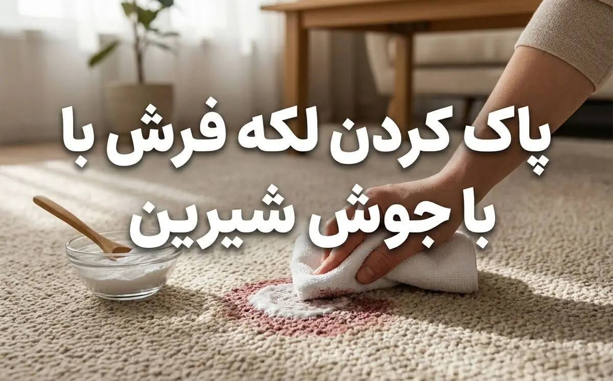 پاک کردن لکه فرش با جوش شیرین؛ آیا جوش شیرین برای فرش ضرر دارد؟