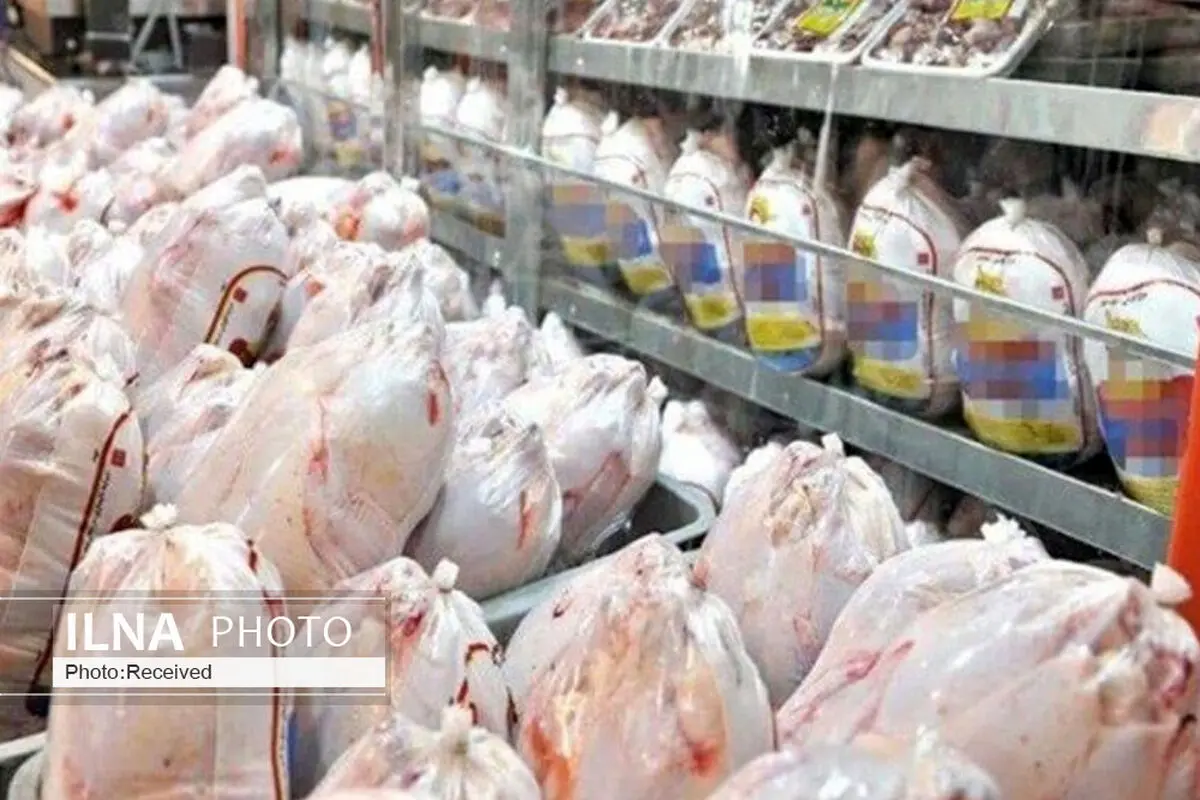دو‌ دلیل عدم ترخیص محموله گوشت مرغ در گمرک