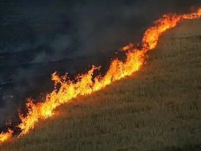 هشدار دادستان خوزستان به عوامل سوزاندن بقایای محصولات کشاورزی