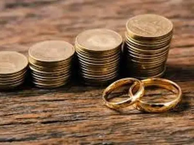 هدف از اصلاحات قانون مهریه، حفظ نهاد خانواده است نه تضییع حقوق زنان