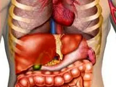 هر بخش بدن با چه چیزی حالش خوب می شود؟ + اینفوگرافی