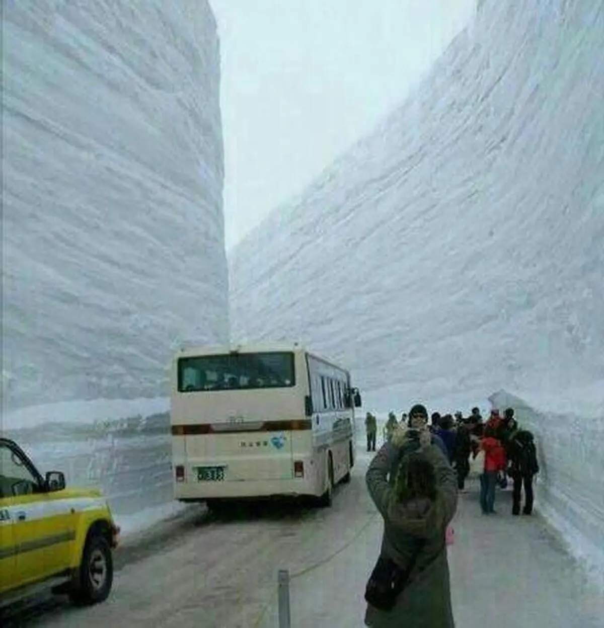 دستور رئیس دادگستری استان سمنان برای پیگری وضعیت مسافران گرفتار در جاده‌های برفی 