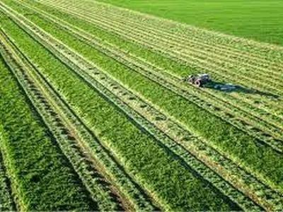 کود، سم و بذر در انتظار ارز نیمایی؛ تهدید پنهان برای امنیت غذایی ایران/ زنجیره تولید کشاورزی در آستانه فروپاشی