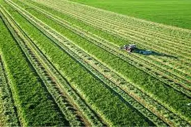 کود، سم و بذر در انتظار ارز نیمایی؛ تهدید پنهان برای امنیت غذایی ایران/ زنجیره تولید کشاورزی در آستانه فروپاشی