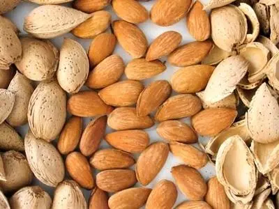 سالانه ۳۶ هزار تن بادام در چهارمحال و بختیاری تولید می شود