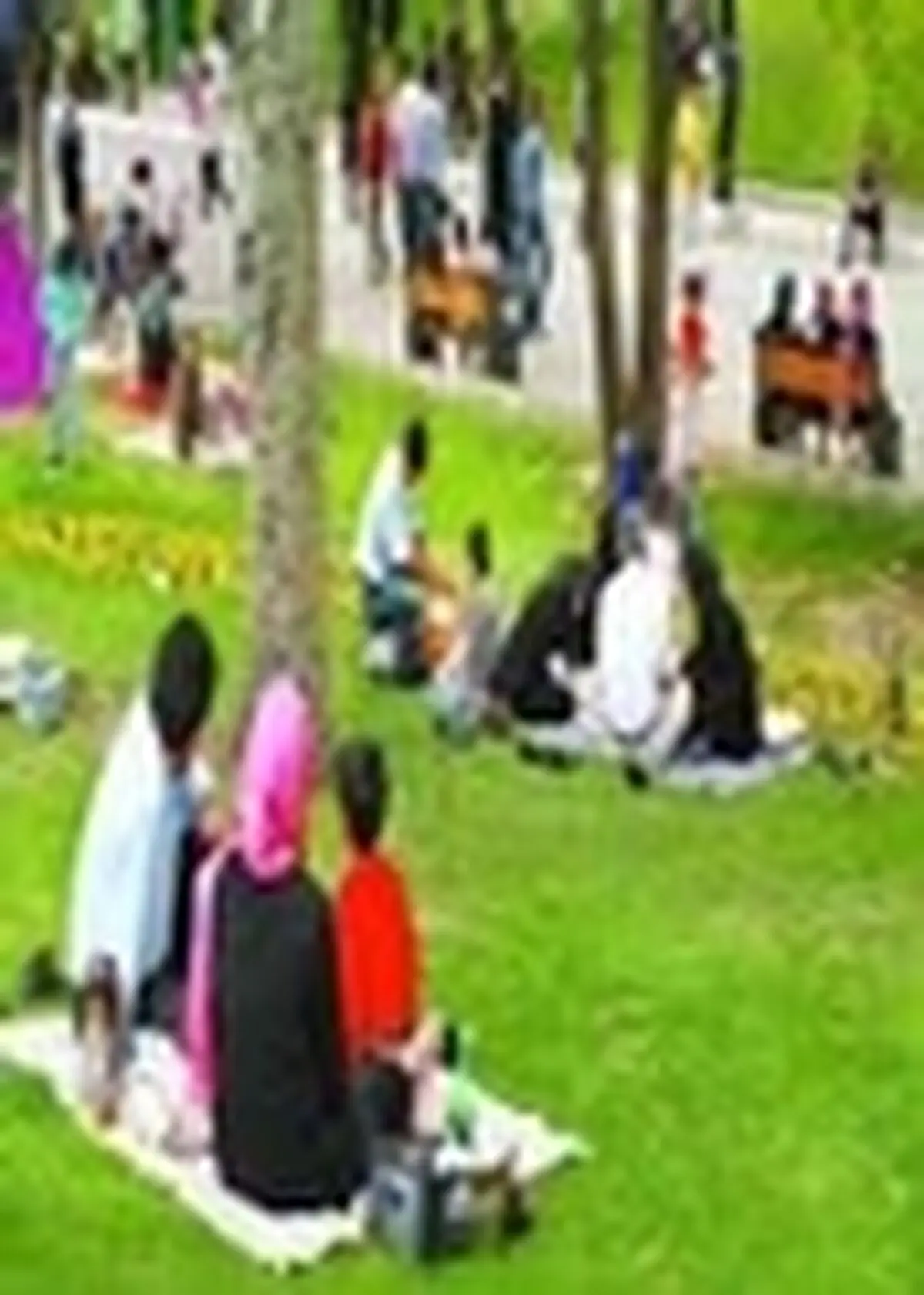 وجود تفریح در خانواده ها باعثپویایی نسل آینده می شود