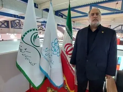 نیازمند فرهنگ‌سازی استفاده از مرغ سایز هستیم