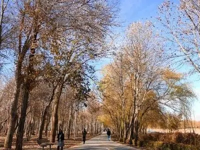 احیای دوباره ناژوان در گرو جریان دائمی زاینده رود است