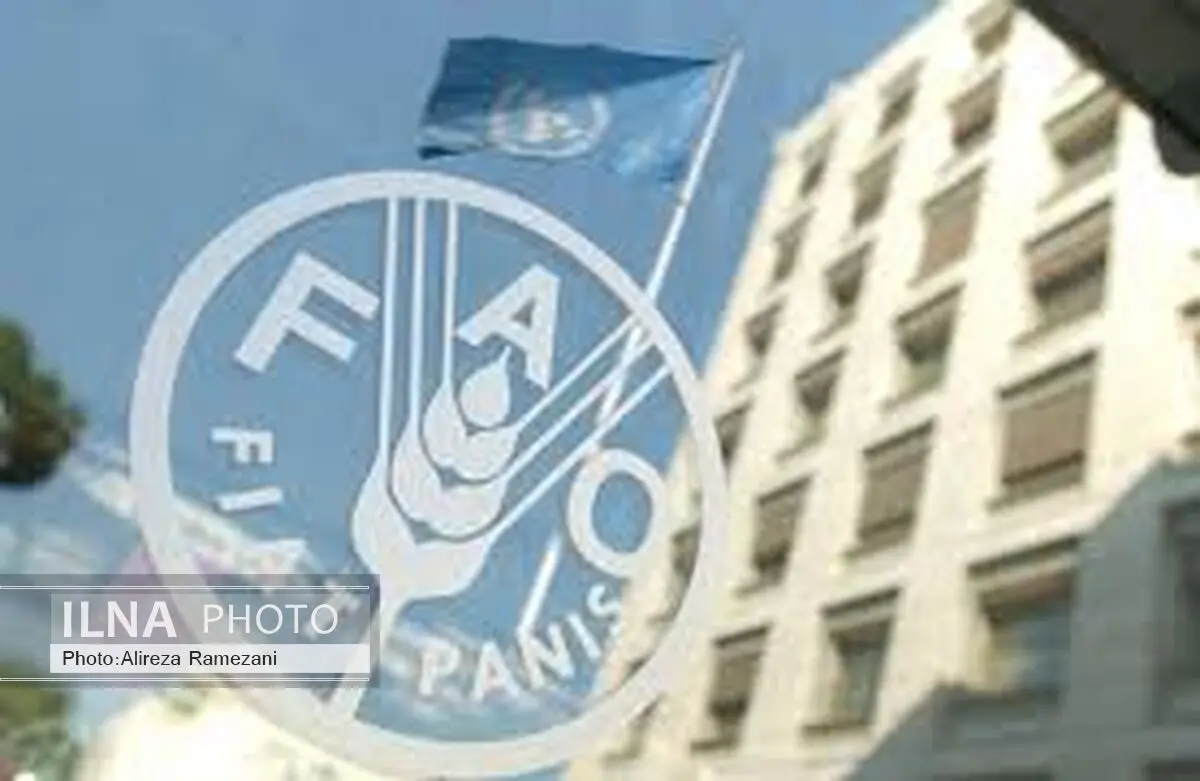 قیمت شکر و روغن پالم در بازارهای جهانی افزایش یافت