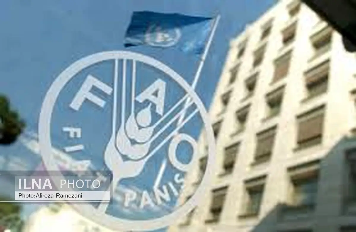 قیمت شکر و روغن پالم در بازارهای جهانی افزایش یافت