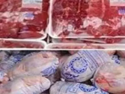 آغاز توزیع گوشت و مرغ تنظیم بازاری در کیش