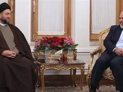 Iran help Iraq establish stability, security: Zarif