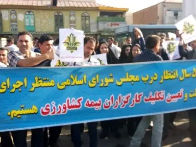 سه هزار کارگزار صندوق بیمه کشاورزی در انتظار التفات نمایندگان مجلس/ هنوز طرح جذب در دستور کار قرار نگرفته!