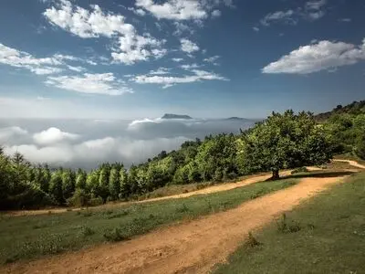 آسفالت مسیر جنگل ابر، مغایر با ثبت جهانی است