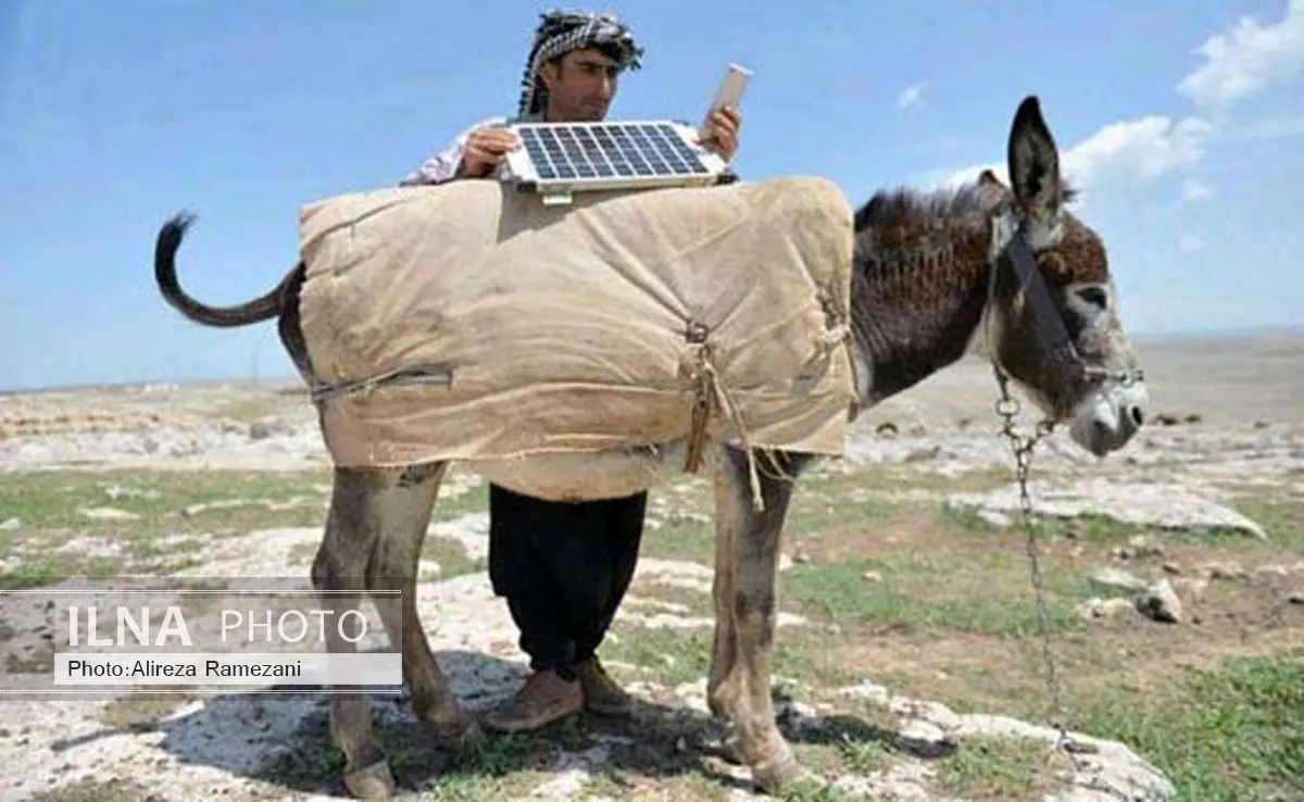 الاغ مجهز به پنل خورشیدی + عکس 
