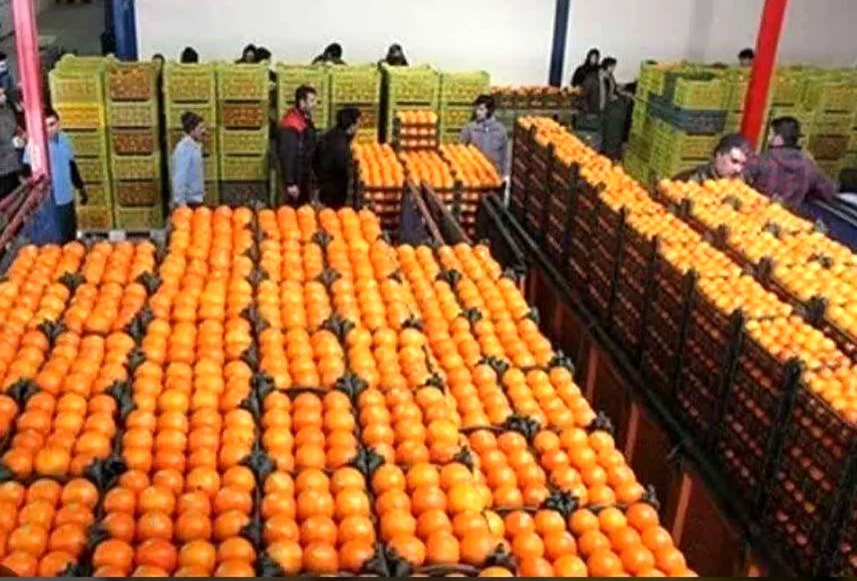 ادامه توزیع میوه نوروزی زیر قیمت بازار
