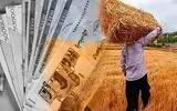 گندمکاران با وجود تحویل محصول، هنوز مطالبات خود را دریافت نکردند/ وعده دولت برای پرداخت بخشی از مطالبات تا هفته آینده 