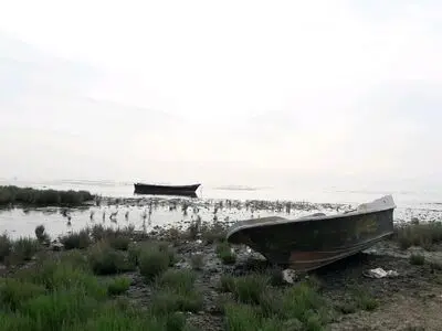 کانال آشوراده در مرحله اول لایروبی قرار گرفت/ اختصاص ۵۰۰ میلیارد تومان برای لایروبی چپاقلی و آشوراده 