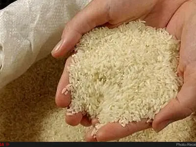 پیش بینی برداشت ۴۵۰۰ تن برنج در چرداول