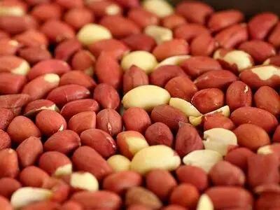 همه چیز در مورد فواید و خواص بادام زمینی
