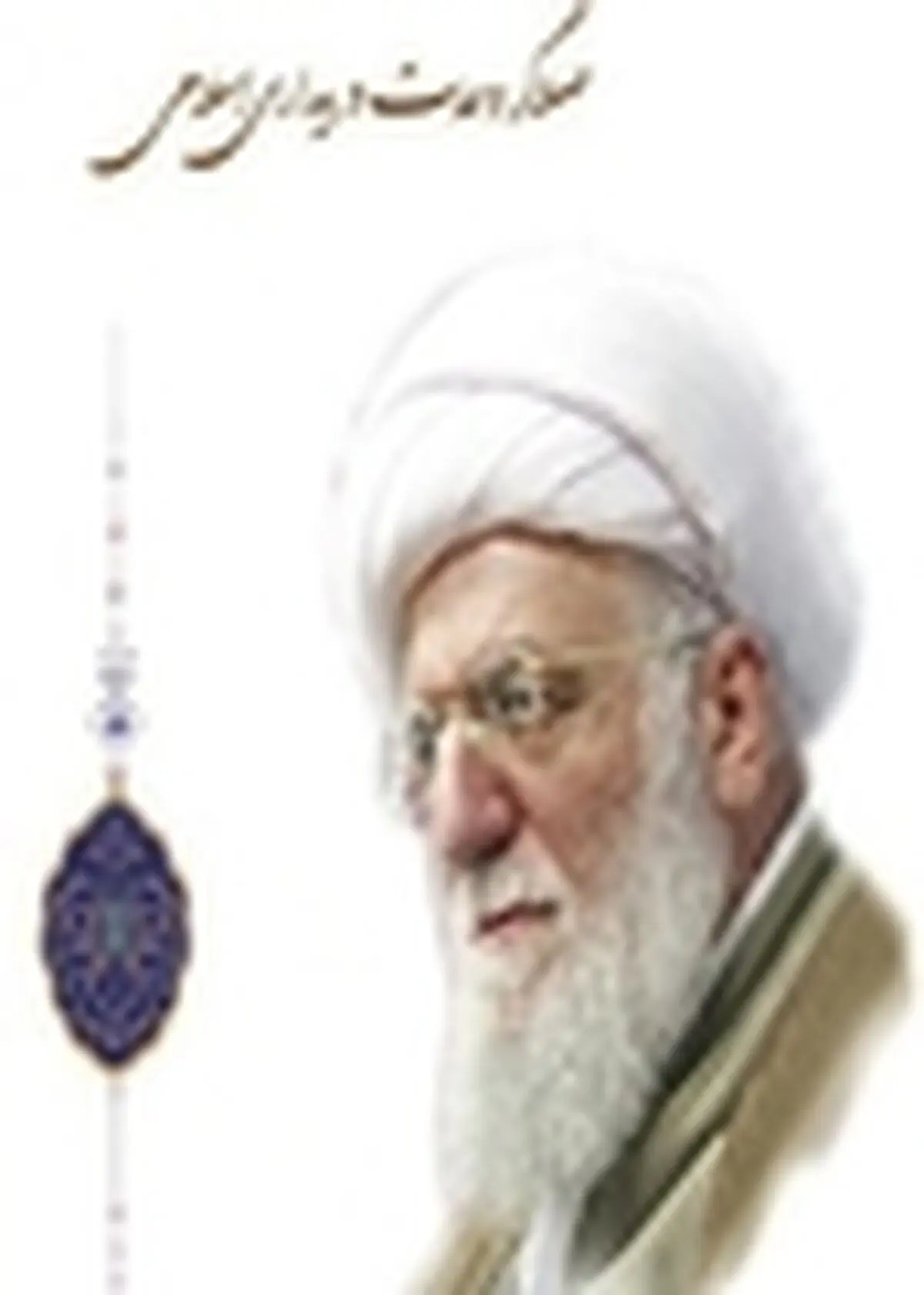 با رویکردهای افراطی تنها دافعه خواهیم داشت / پشت توطئه افراطی‌گری اسلام‌هراسی‌ست
