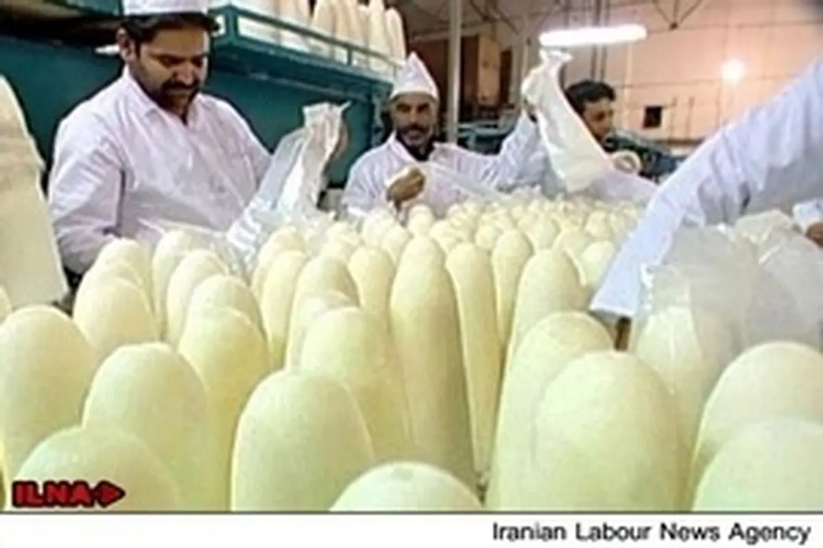 فعالیت کارخانه «قند ورامین» پس از دو سال از سر گرفته‌  شد 