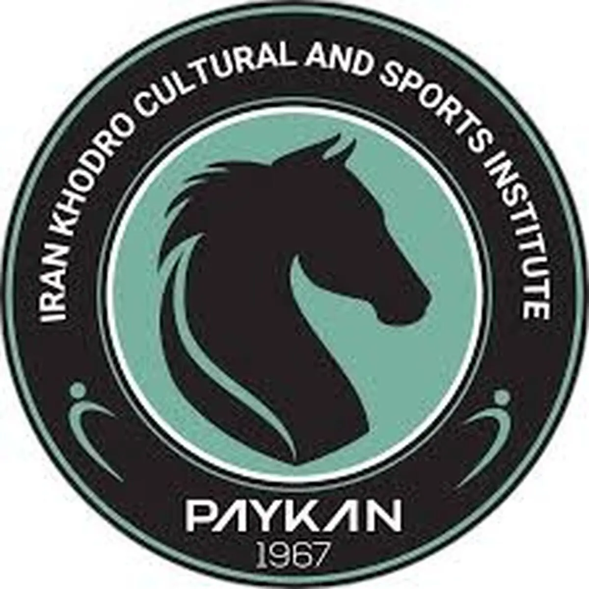 یازده بازیکن پیکان تهران مشخص شدند