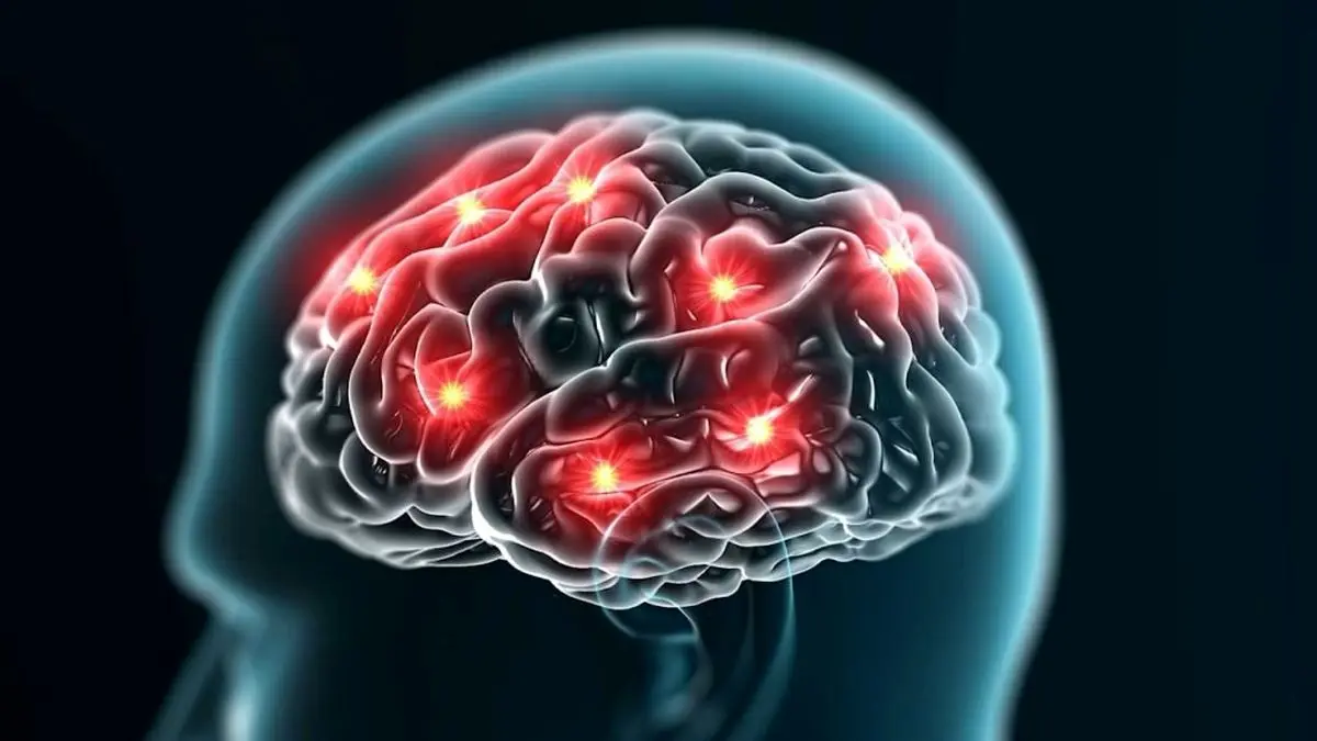تمرینات ذهنی میتوانند پیری مغز را تا ۱۰ سال معکوس کنند