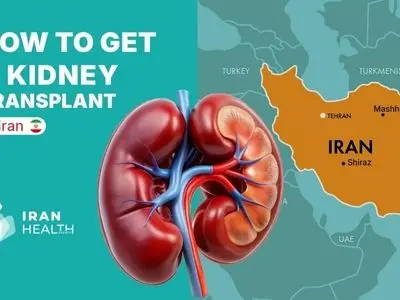 پیوند کلیه بدون لیست انتظار: مدل انقلابی ایران در سال ۲۰۲۵