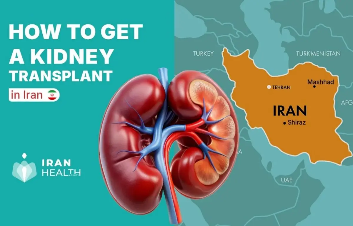 پیوند کلیه بدون لیست انتظار: مدل انقلابی ایران در سال ۲۰۲۵
