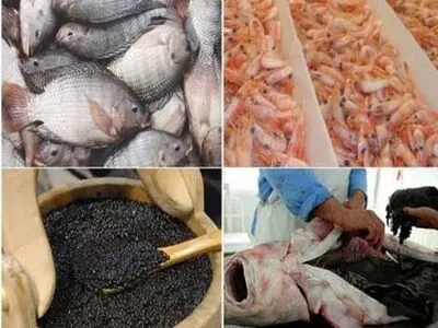 گسترش همکاری‌های شیلاتی ایران و روسیه/ انتقال تجربیات آبزی‌پروری ایران به آفریقا