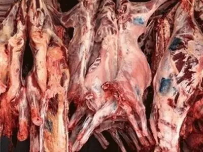 محل عرضه گوشت و مواد غذایی فاسد در مهرشهر کرج تعطیل شد
