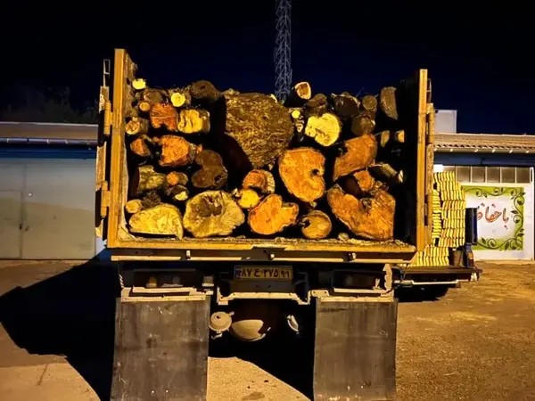 توقیف کامیون حامل چوب آلات قاچاق جنگلی در استان اردبیل