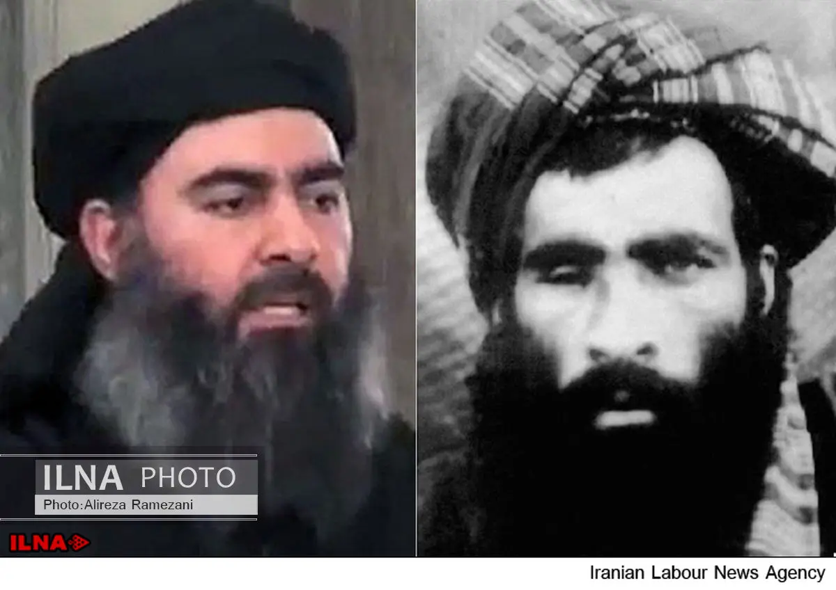 «ملا عمر» یا «البغدادی» مساله این است