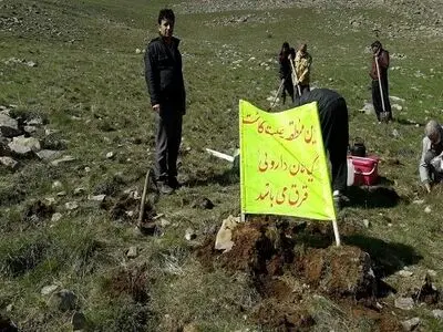 روند روبه رشد کاشت گیاهان دارویی در استان کرمانشاه/ تبدیل استان به قطب تولید گیاهان دارویی